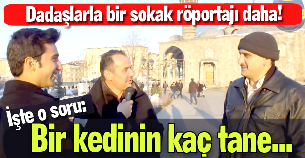 Bir kedinin kaç tane...?