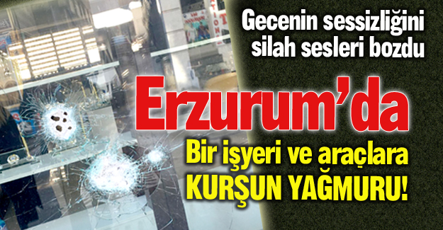 Erzurum'da kurşun yağmuru!