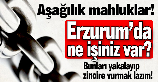 Aşağılık mahluklar!