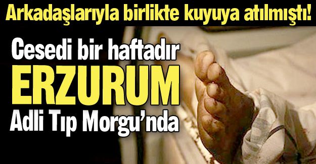 Birbirlerini öldürmeye başladılar!