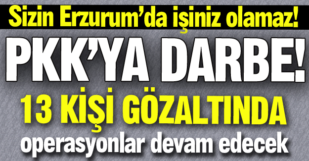 PKK'ya Erzurum'da darbe!