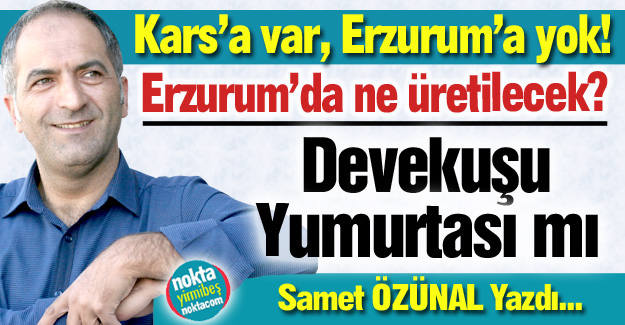 Erzurum'da ne üretilecek?