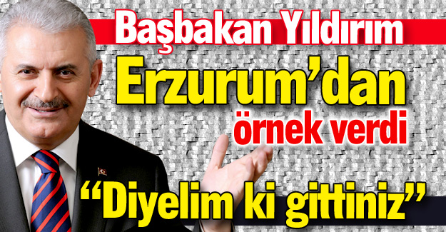 Başbakan'dan Erzurum örneği