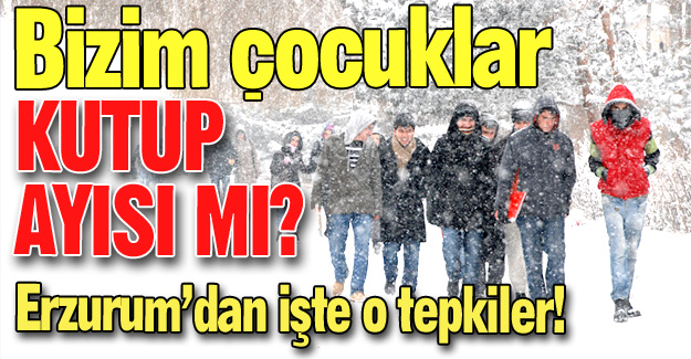 Bizim çocuklar kutup ayısı mı?