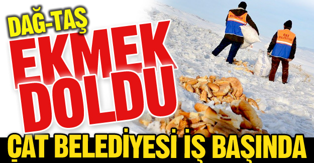 Dağı-taşı ekmekle doldurdu