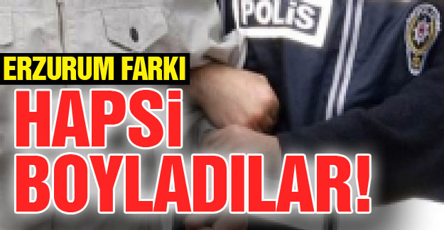 Erzurum'da 6'sı tutuklandı!