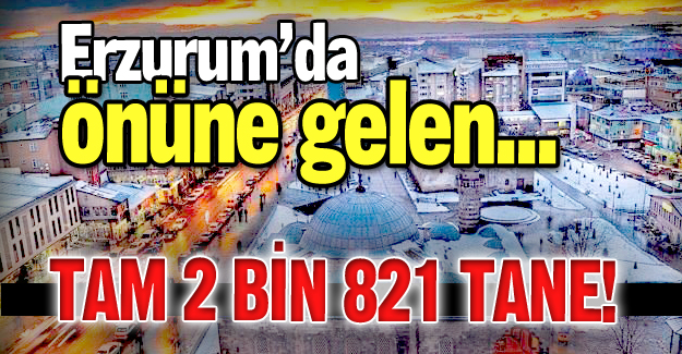 Erzurum'da bir rekor daha!