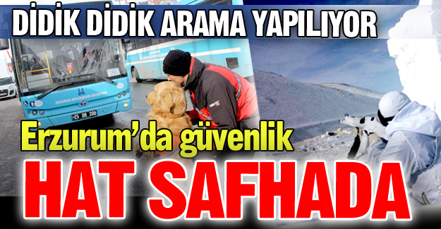 Erzurum'da güvenlik alarmı!