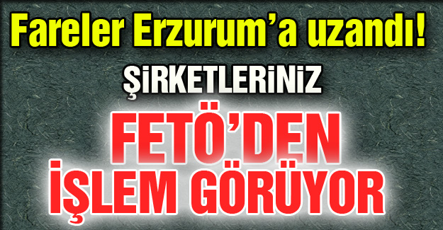 Fareler Erzurum'a uzandı!