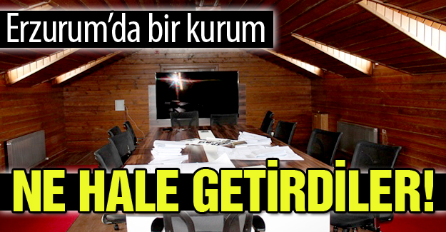 Görenler hayrete düşüyor!