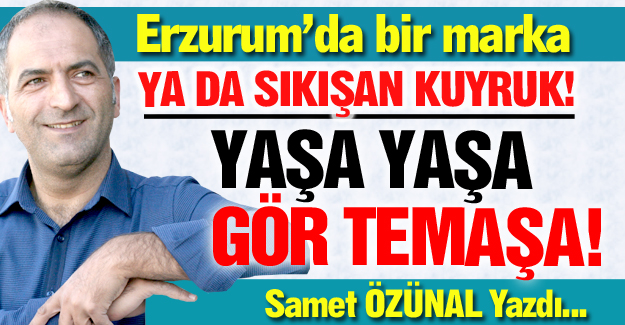 Yaşa yaşa, gör temaşa!