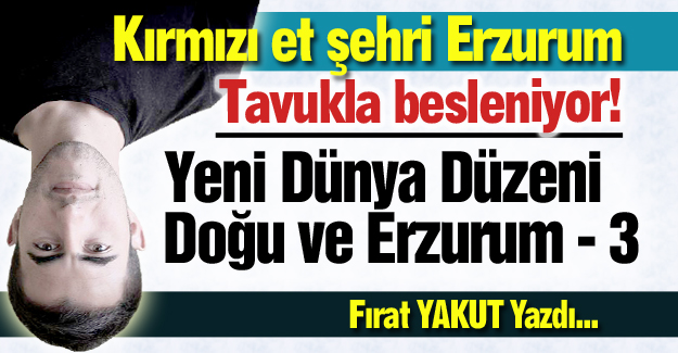 Yeni Dünya Düzeni, Doğu ve Erzurum - 3