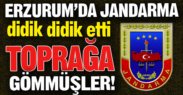 Bir de toprağa gömmüşler!