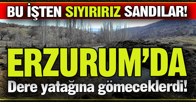 Bu işten sıyırırız sandılar!
