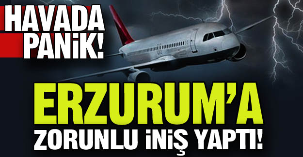 Erzurum'a zorunlu iniş yaptı!