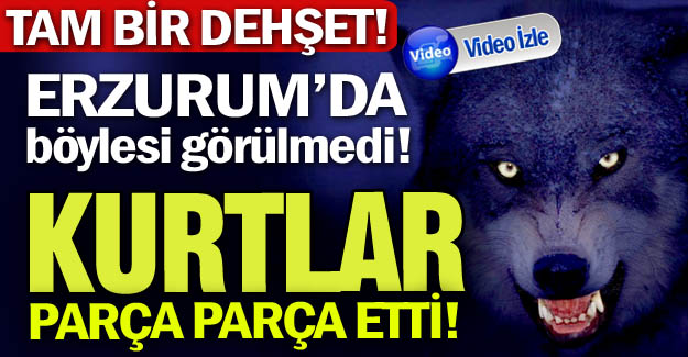Erzurum'da böylesi görülmedi!