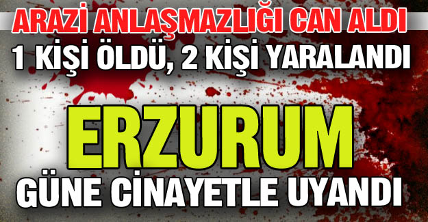 Erzurum güne cinayetle uyandı!