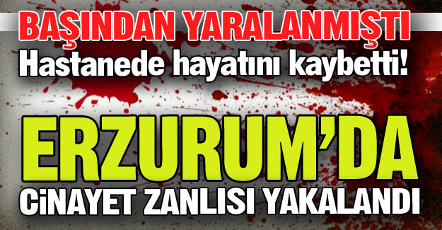 Polis, cinayet zanlısını yakaladı!
