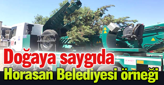 Horasan'da örnek çalışma