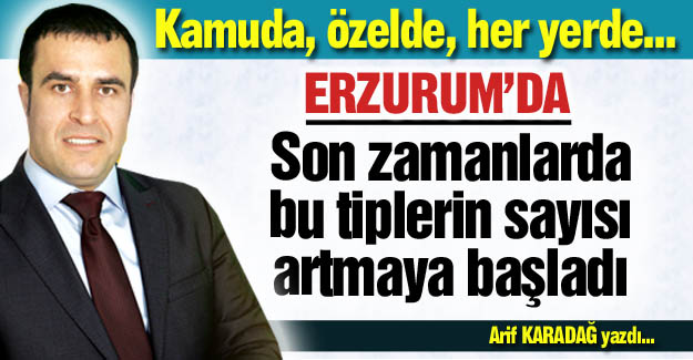 Erzurum'da da sayıları artıyor!