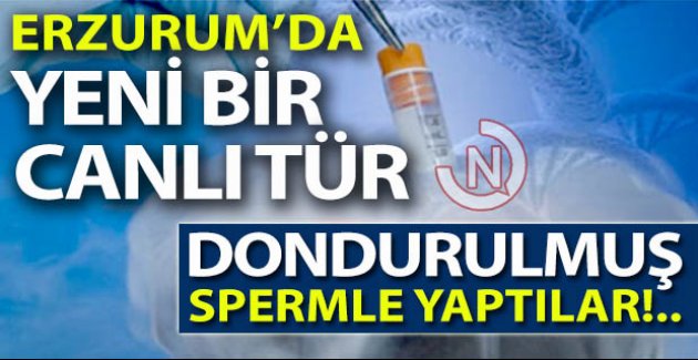 Erzurum'da yeni bir canlı türü!