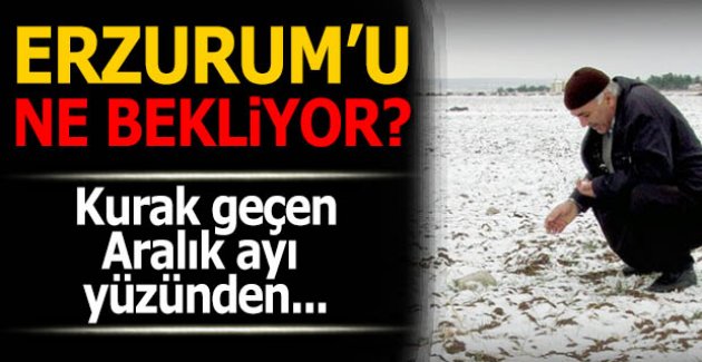 Erzurum'u ne bekliyor? Erzurum'u ne bekliyor?