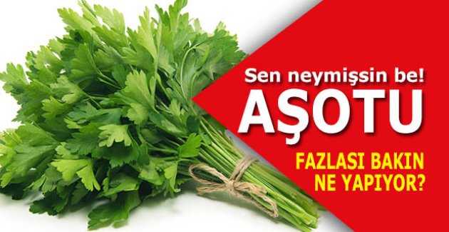 Sen neymişsin be!..