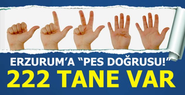 Tam 222 tane var!