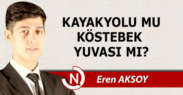 Kayakyolu mu, köstebek yuvası mı?..