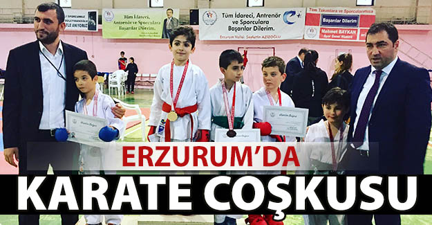 Erzurum'da Karate coşkusu