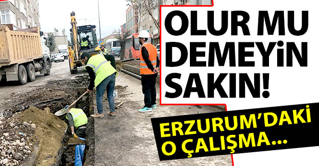 Erzurum'daki o çalışma meğerse...