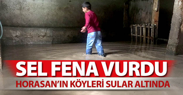 Horasan'ın köyleri sular altında!