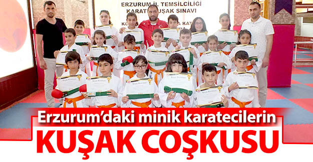 Karateciler kuşak sınavında ter döktü