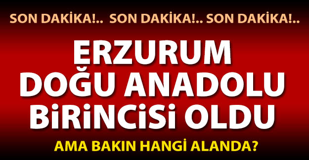 Bölge birincisi Erzurum oldu!..