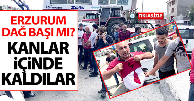 Erzurum dağ başı mı?