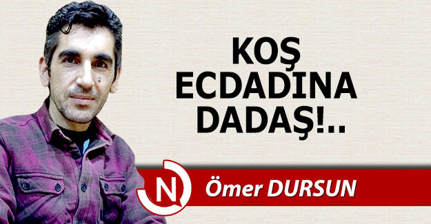 Koş ecdadına DADAŞ!..