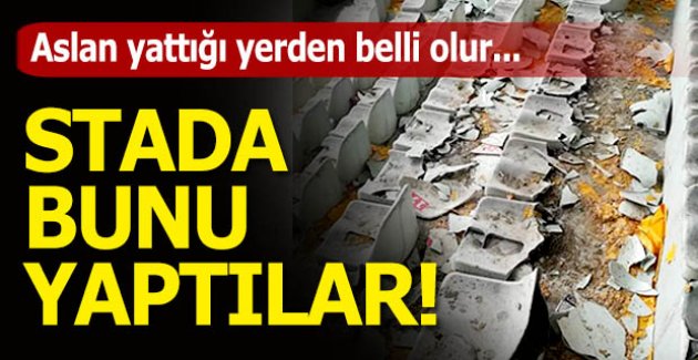 Aslan yattığı yerden belli olur!..