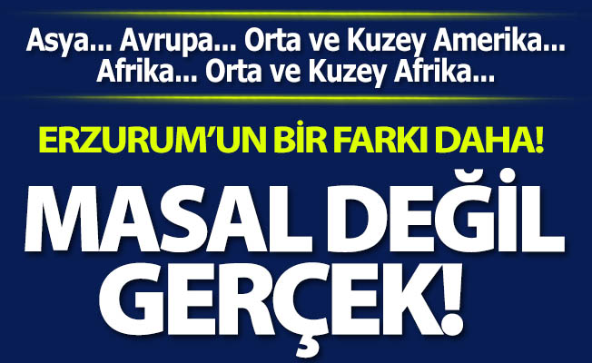 Masal değil, gerçek!