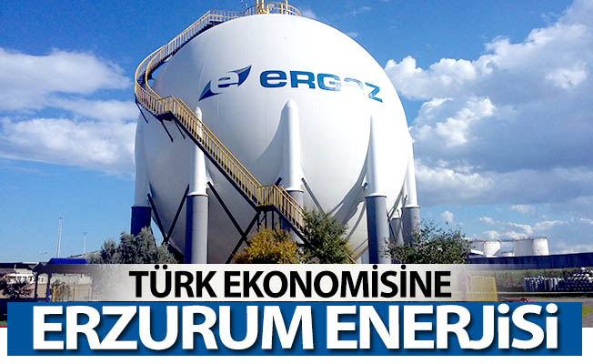 Türk ekonomisine Erzurum enerjisi