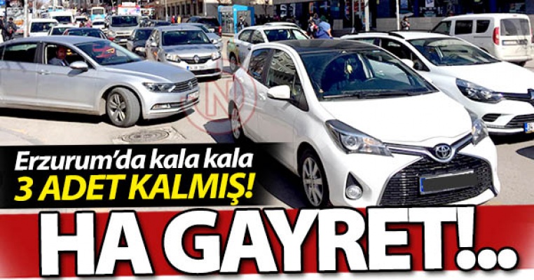 Ha gayret Erzurum!..