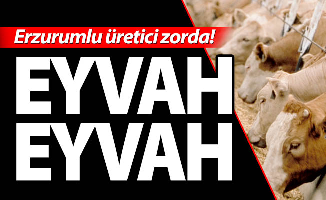 EYVAH EYVAH!
