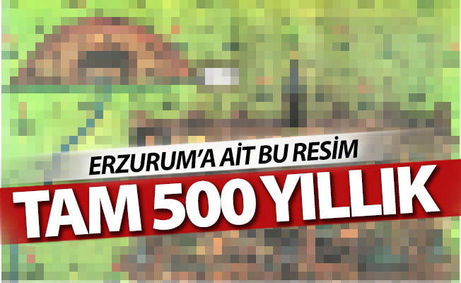 Bu resim tamı tamına 500 yıllık!