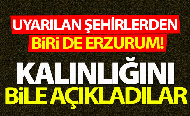 O şehirlerden birisi de Erzurum!