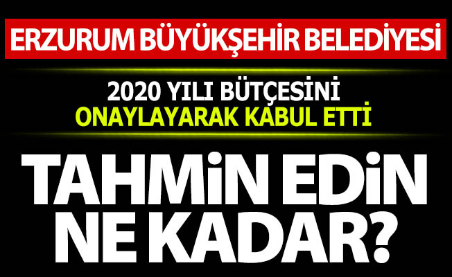 Tahmin edin ne kadar?