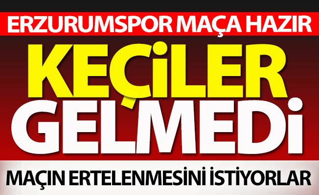 Dadaş hazır, Keçi'ler ortada yok!