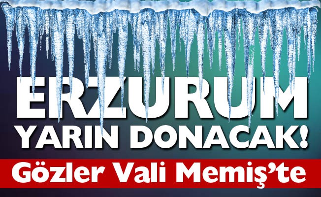 Erzurum’da gözler Vali Memiş’te