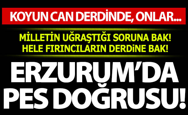 Erzurum'da düşündüren zam!
