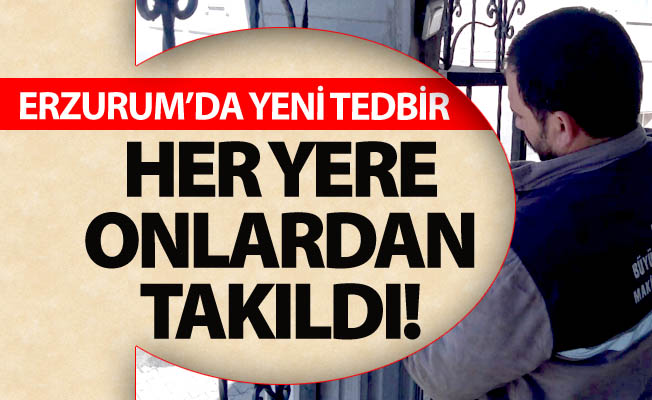 Her yere onlardan takıldı!