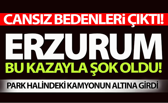 İki kişinin cansız bedeni çıktı!
