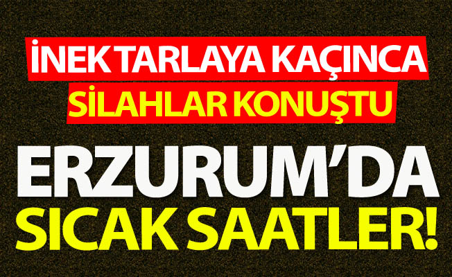 Erzurum'da silanlar konuştu!